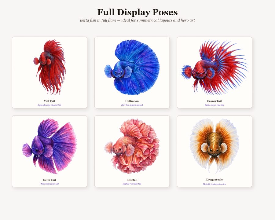 Betta preview