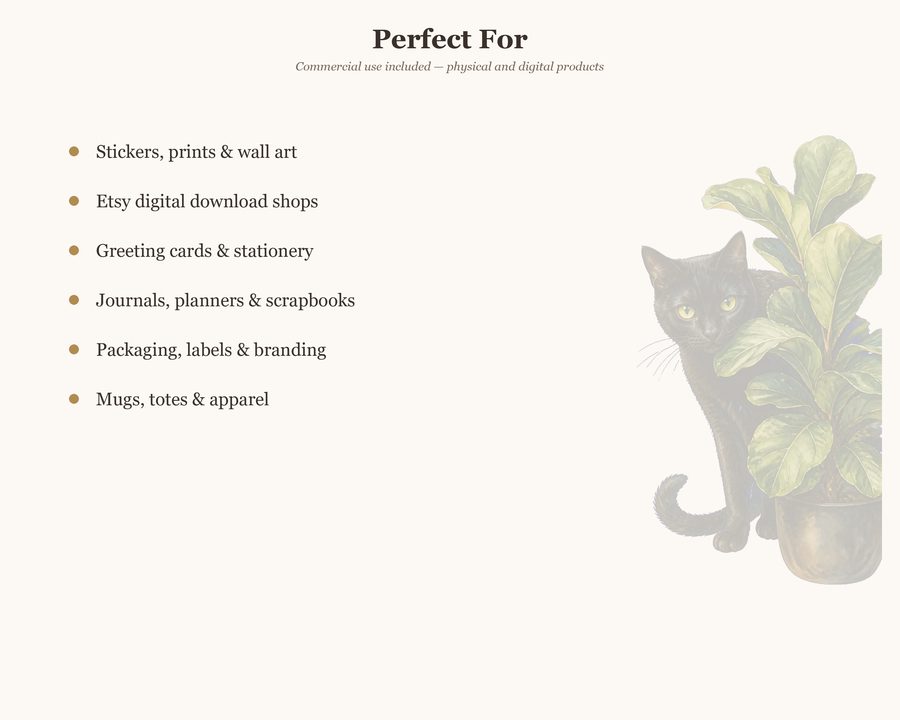 Black Cat Society preview