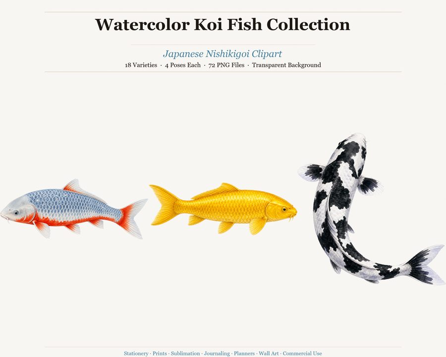 Koi