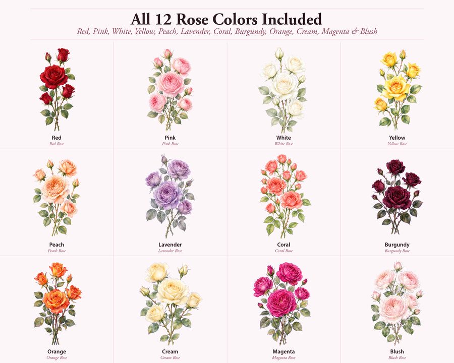 Roses preview