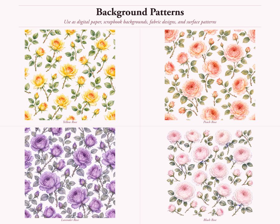 Roses preview
