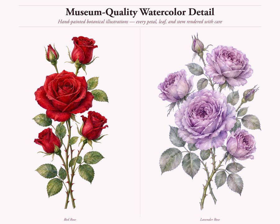 Roses preview