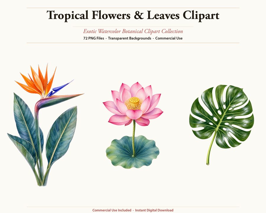 Tropical