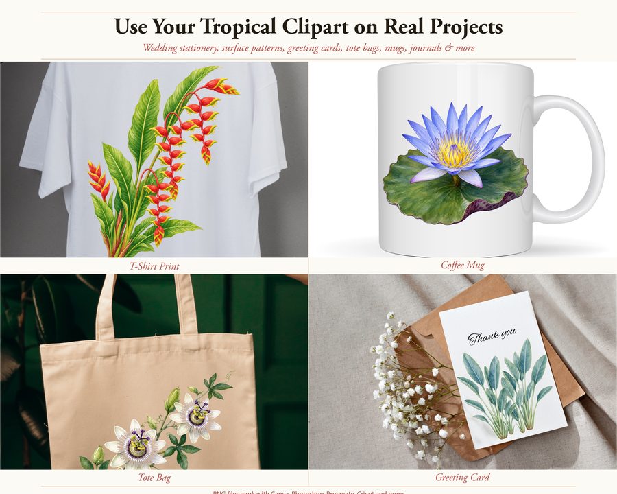 Tropical preview